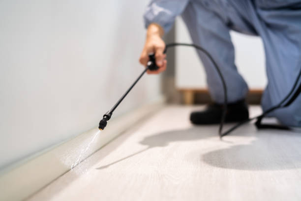 Licensed Pest Control service in Hamlet, NC - Show Me Pest Control