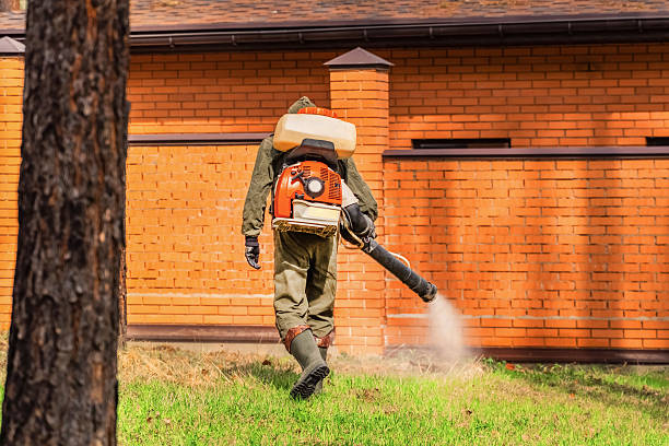 Top rated local Mosquito Control specialists in Hamlet, NC